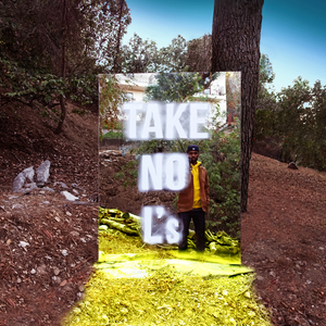 大梅婶读全文原文
