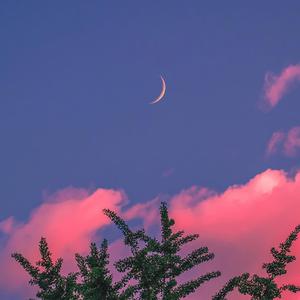 大梅婶读全文原文
