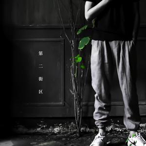 大梅婶读全文原文
